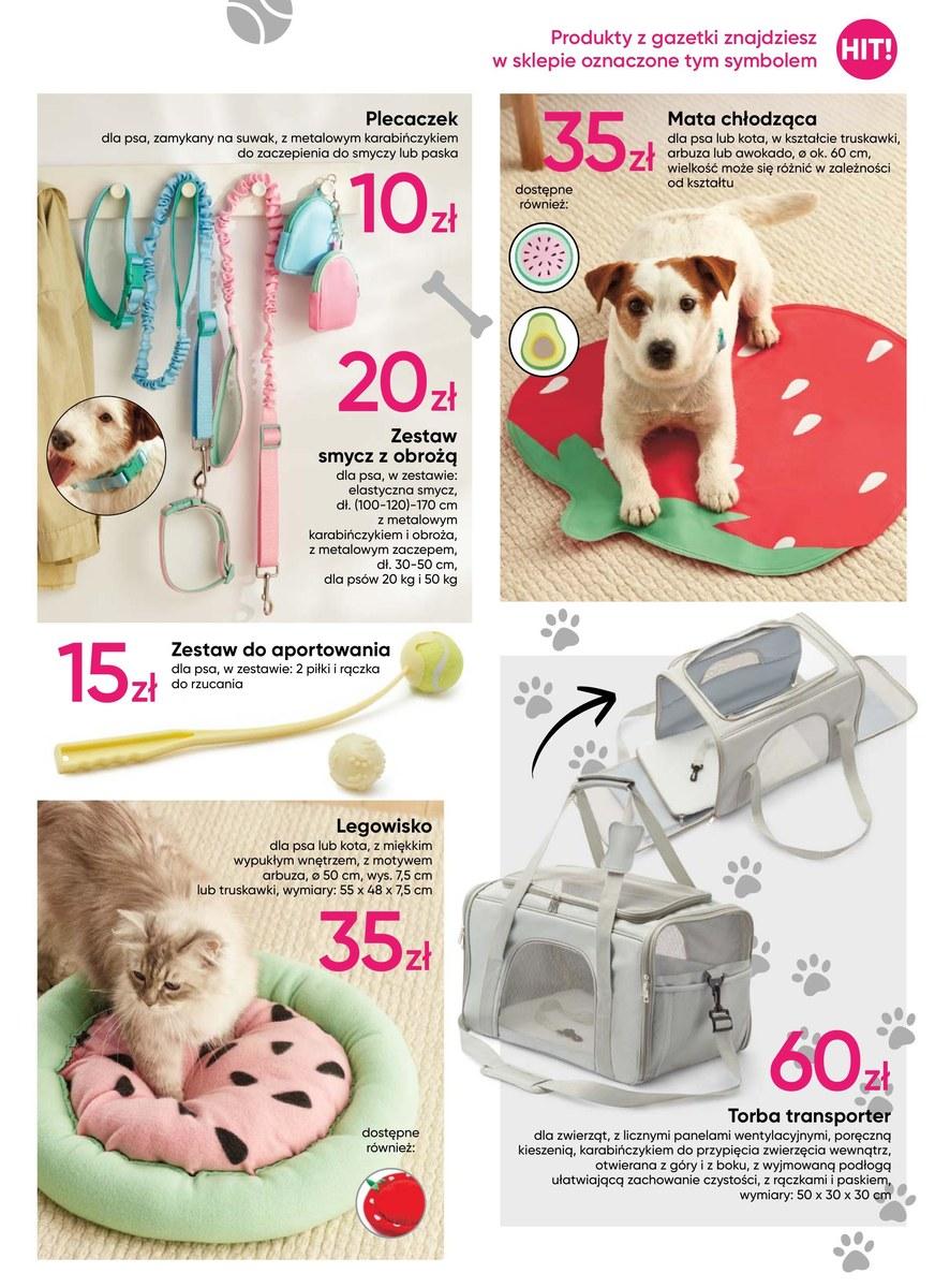 Gazetka promocyjna Pepco str. 11