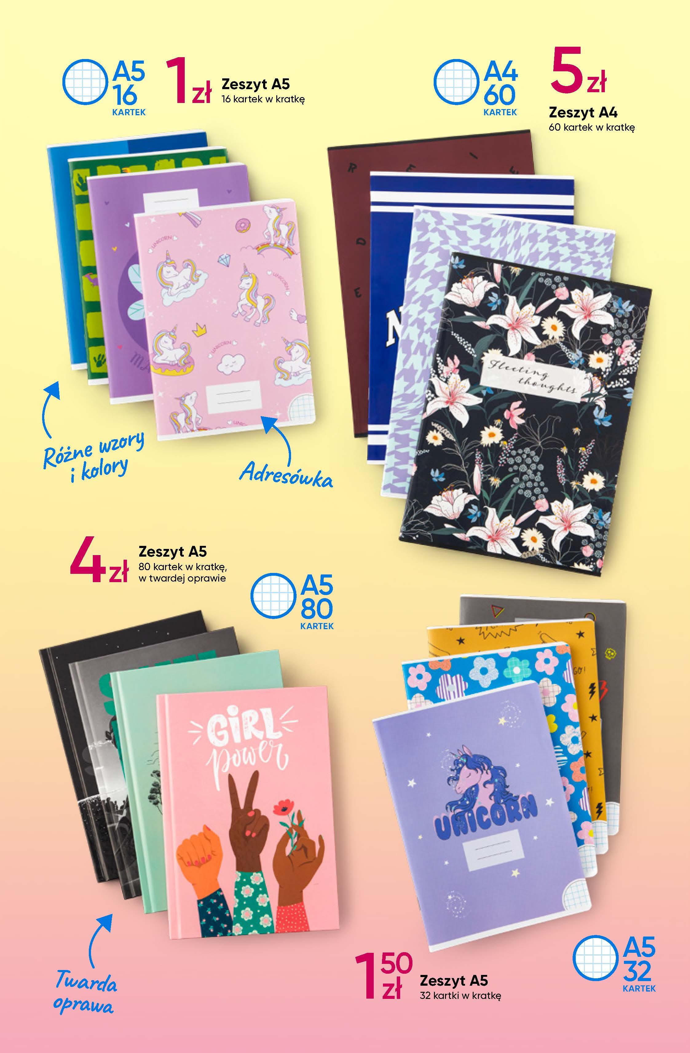 Gazetka promocyjna Pepco str. 17